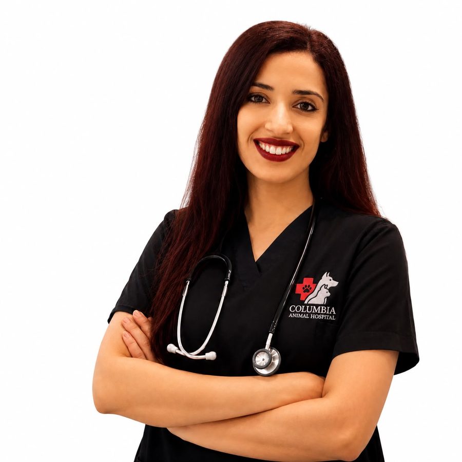 Veterinary team member at Columbia Animal Hospital